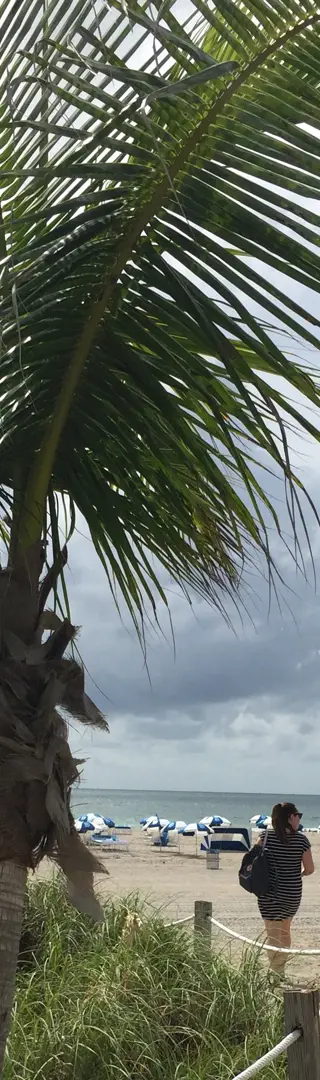 Welcome to Miami Beach